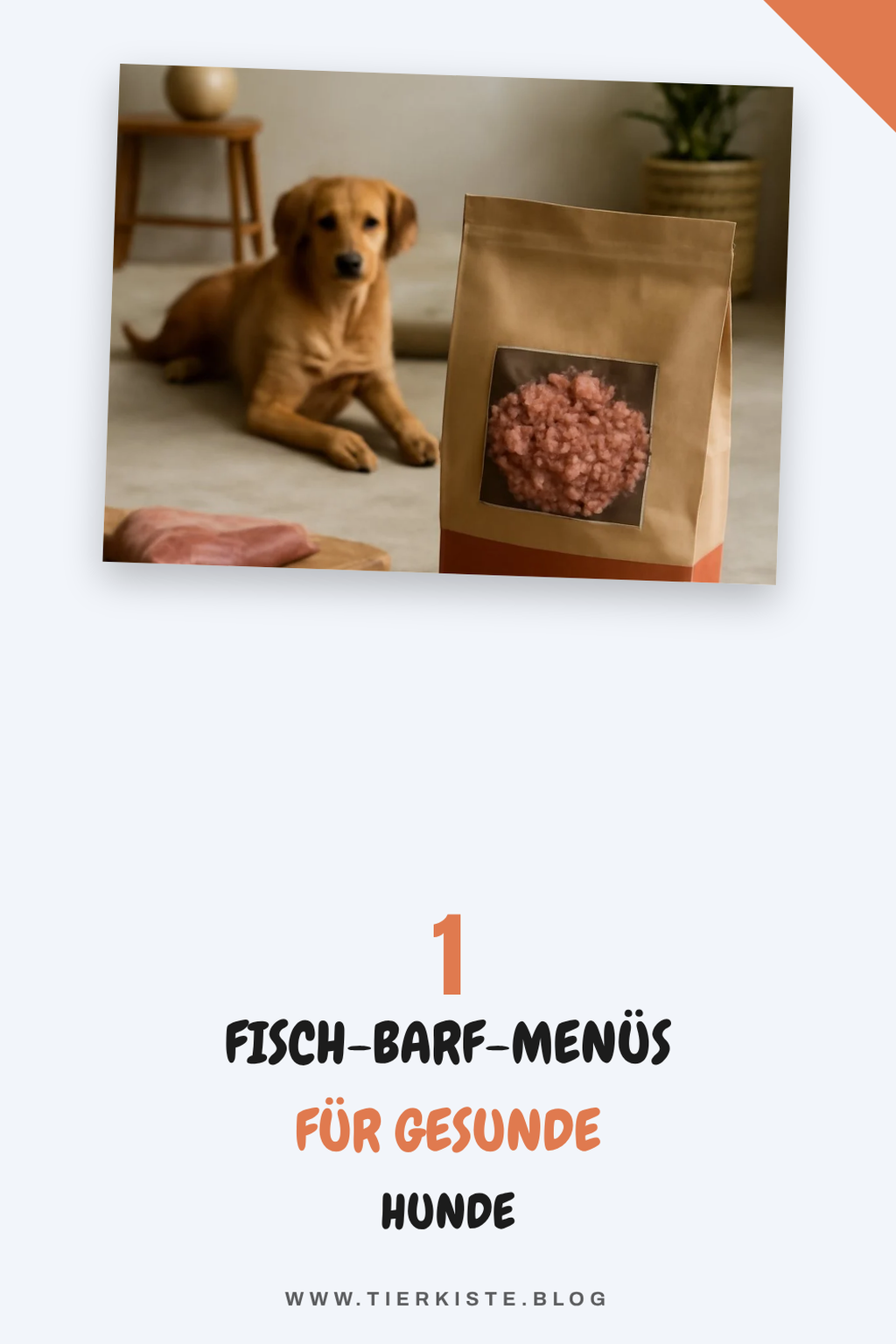 Mehr Empfehlungen aus dieser Kategorie