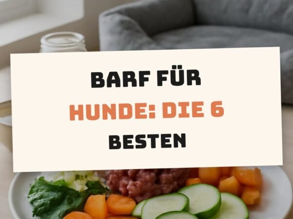 Barf für Hunde: Die 6 besten Fertigmenüs im Test