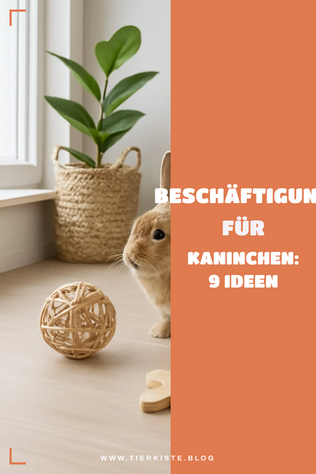Beschäftigung für Kaninchen: 9 Ideen gegen Langeweile