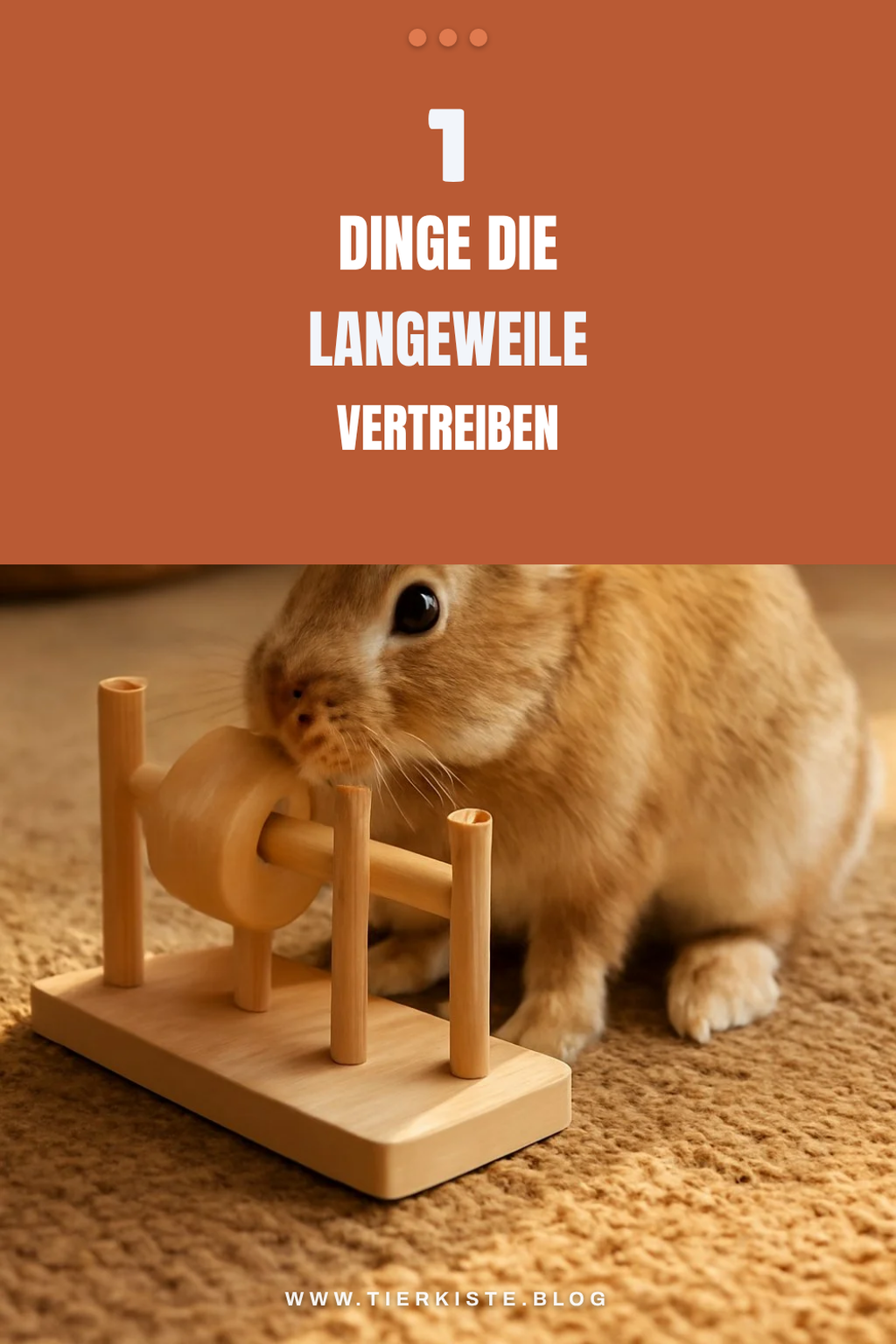 Wie du dein Kaninchen mit einfachen Ideen beschäftigen kannst