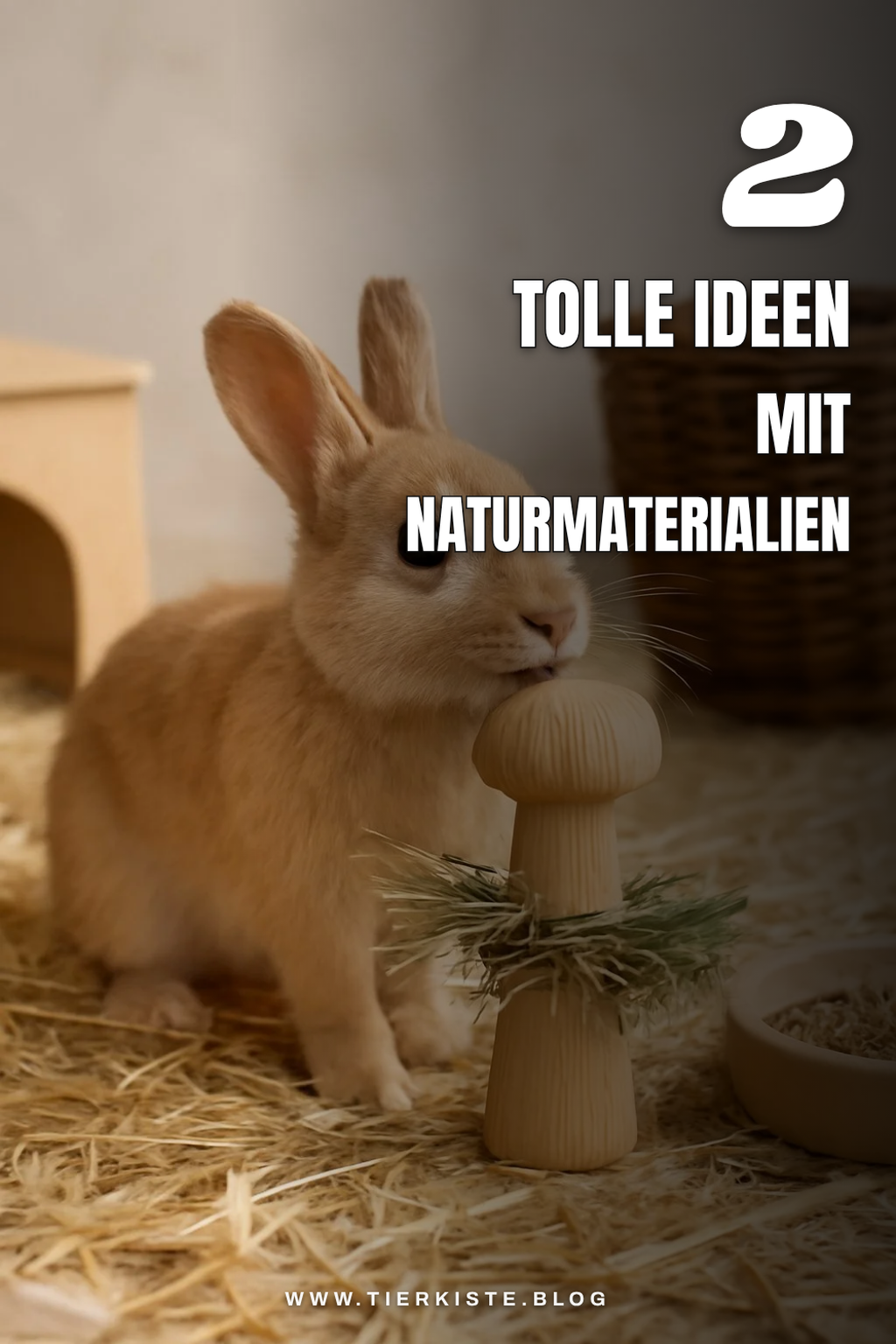 Wie du deinen Kaninchen mit Naturmaterialien Freude bereitest