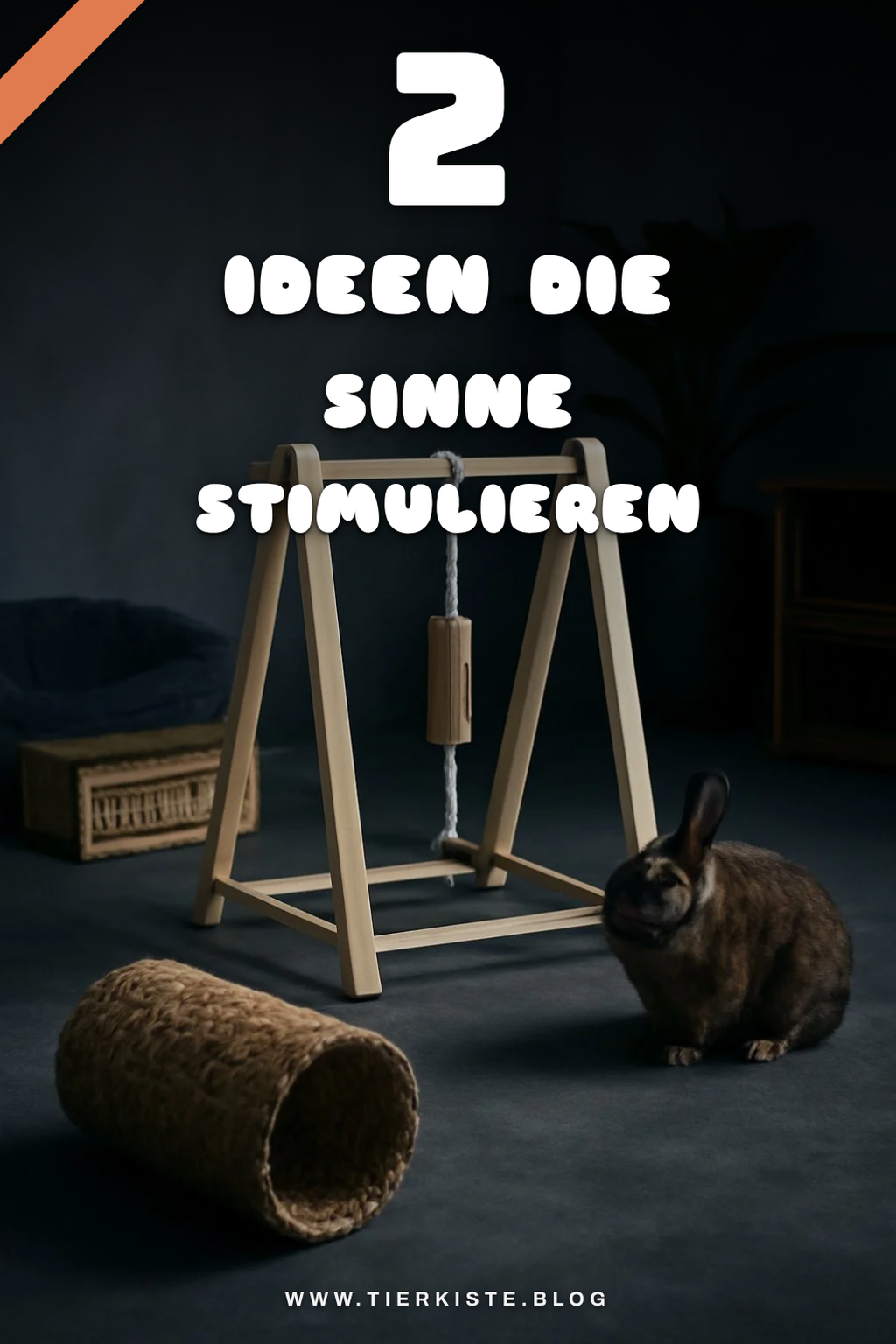 Wie du die Sinne deines Kaninchens anregst