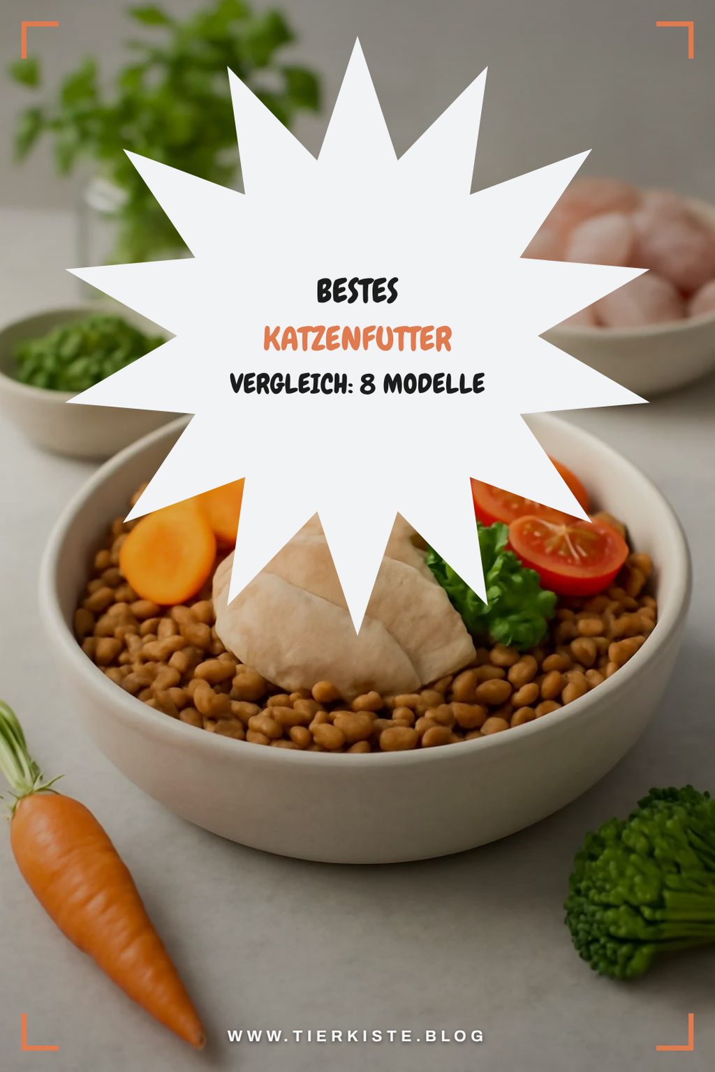 Bestes Katzenfutter Vergleich: 8 Modelle im Check — Bestes katzenfutter Katzenfutter