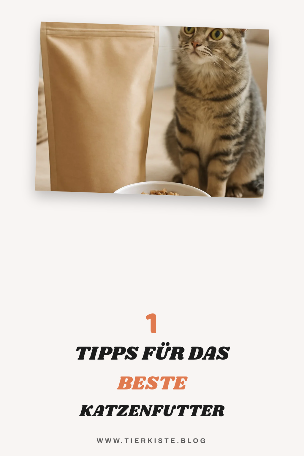 So findest du das beste Katzenfutter für deinen Liebling