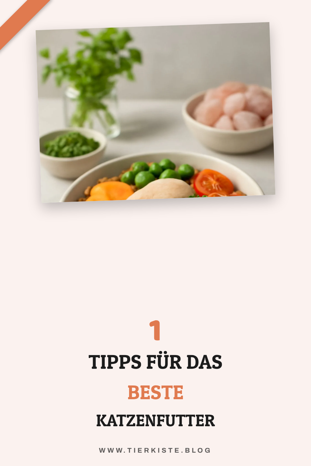 Mehr Empfehlungen aus dieser Kategorie