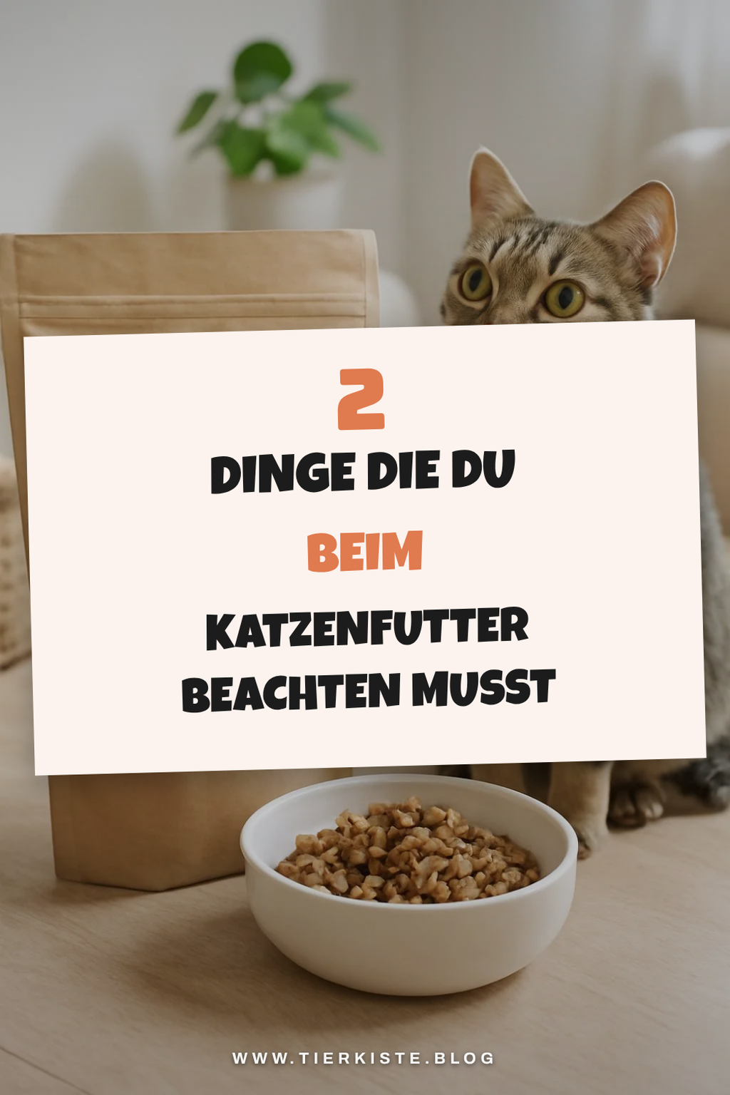 Worauf du beim Kauf von Katzenfutter achten solltest