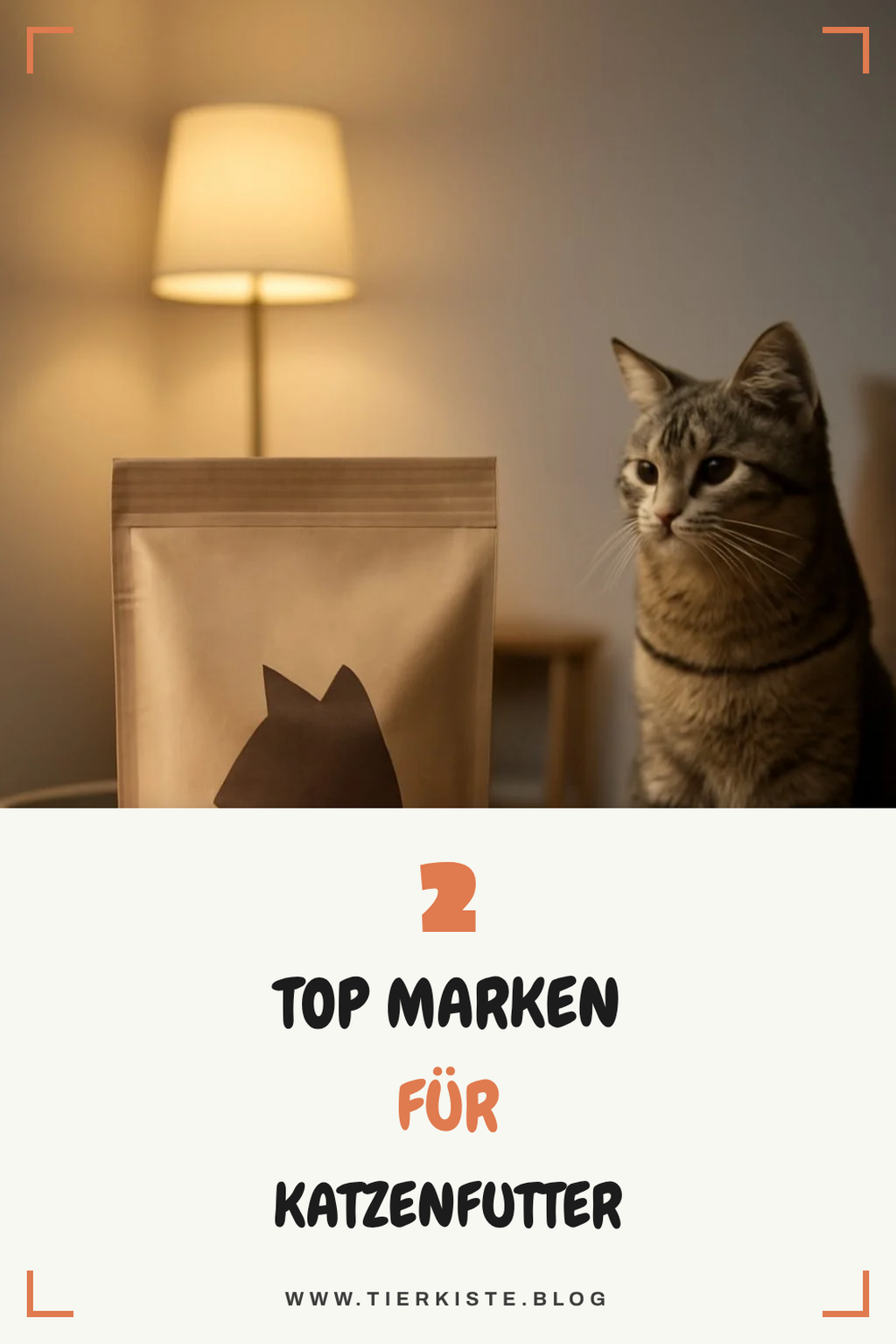 Die besten Marken für Katzenfutter