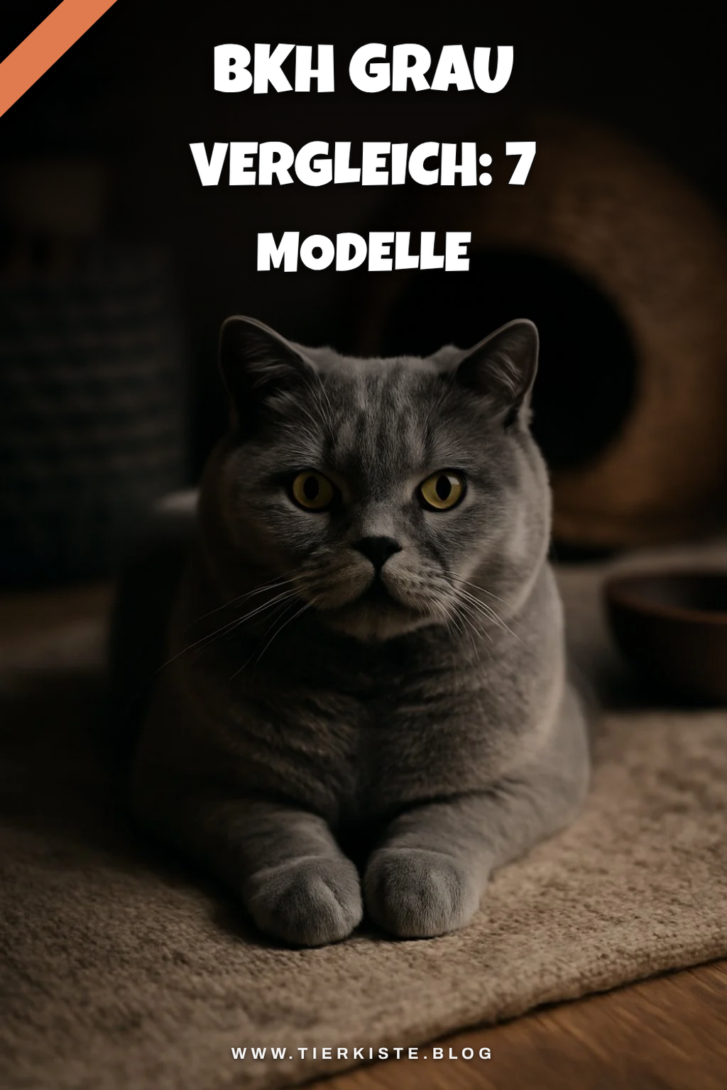 Bkh Grau Vergleich: 7 Modelle im Check
