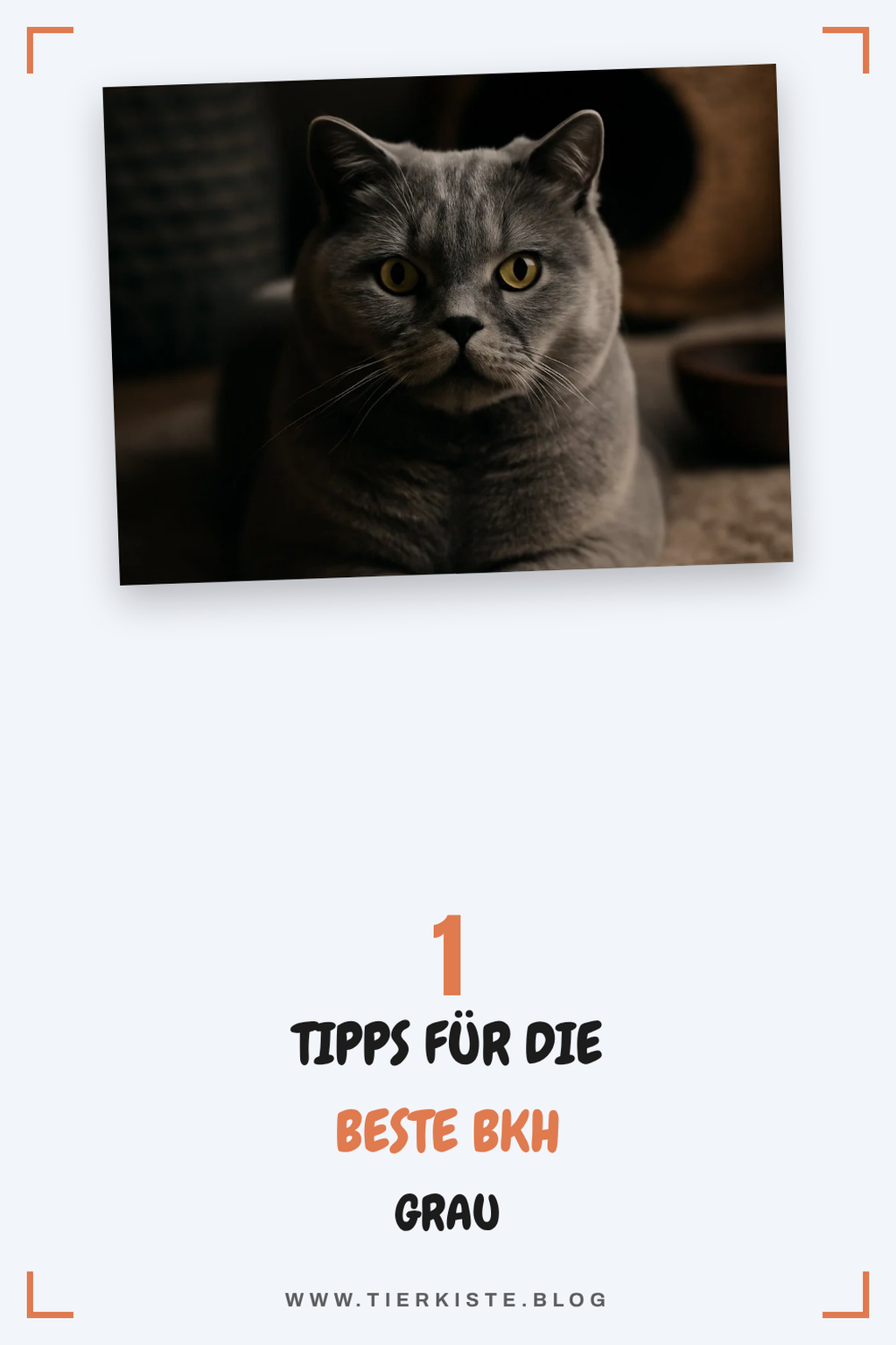 Diese 2 Picks lohnen sich extra
