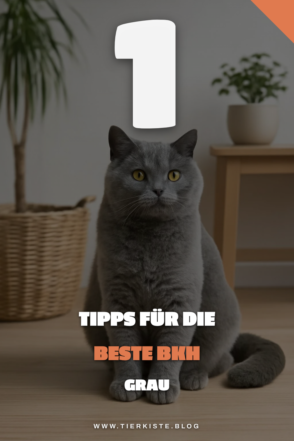 Mehr Empfehlungen aus dieser Kategorie