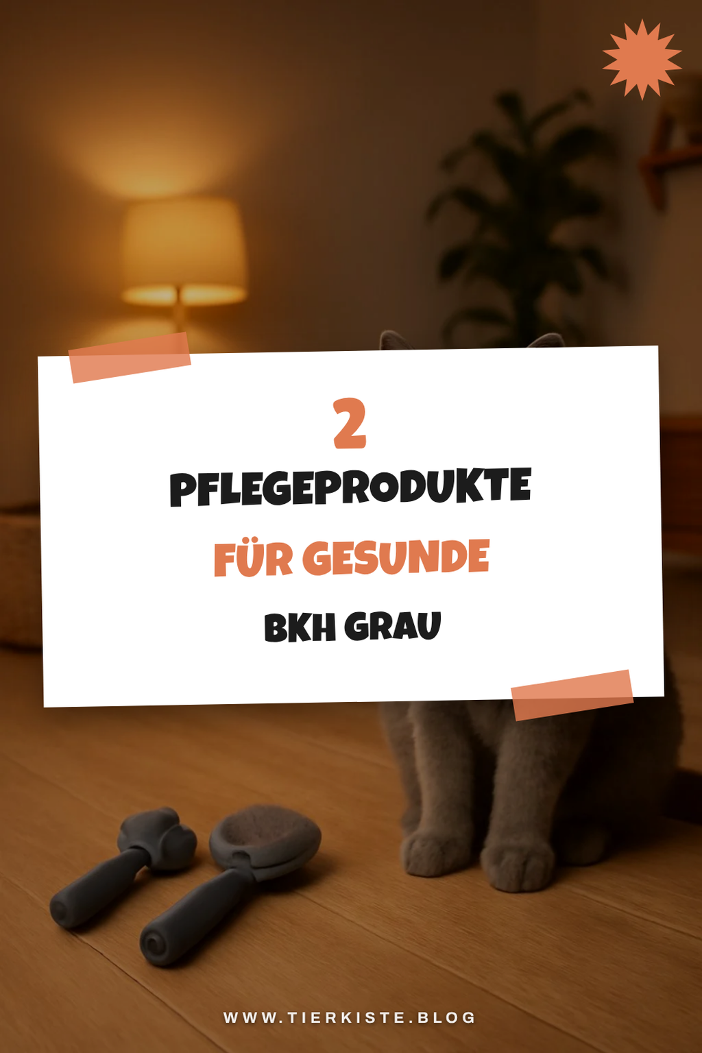 Diese Pflegeprodukte braucht jede Bkh Grau
