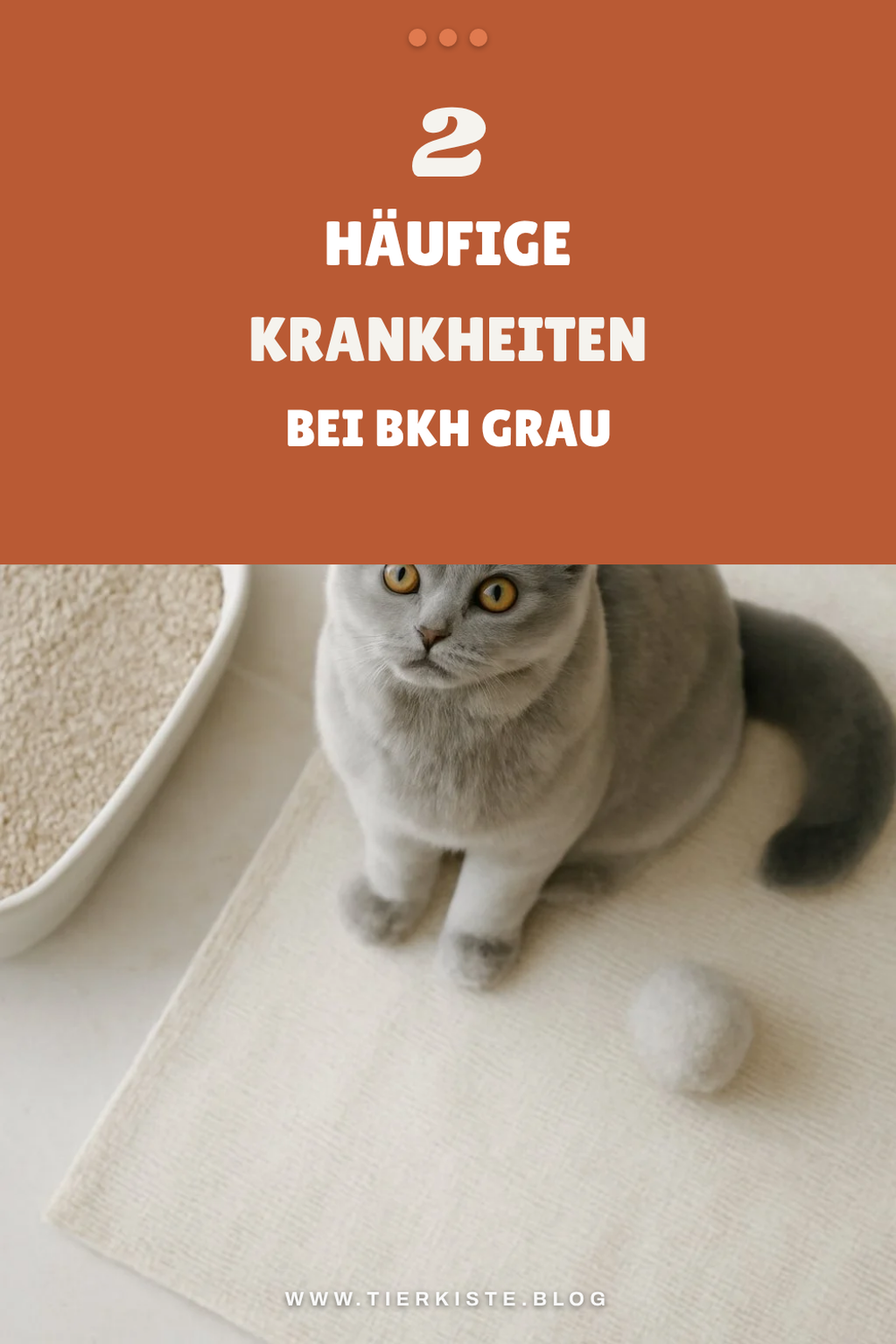 Krankheiten bei Bkh Grau erkennen