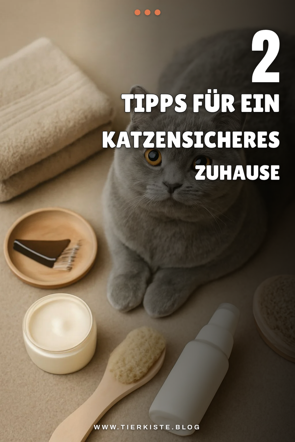 Ein sicheres Zuhause für deine BKH Katze