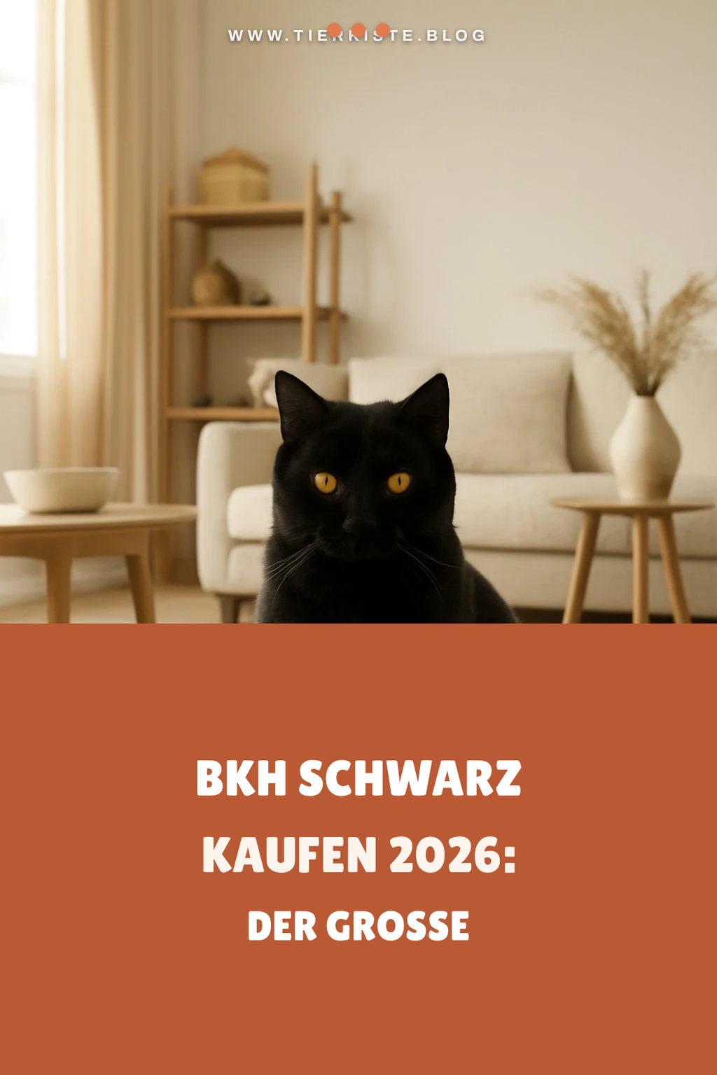 Bkh Schwarz kaufen 2026: Der große Ratgeber
