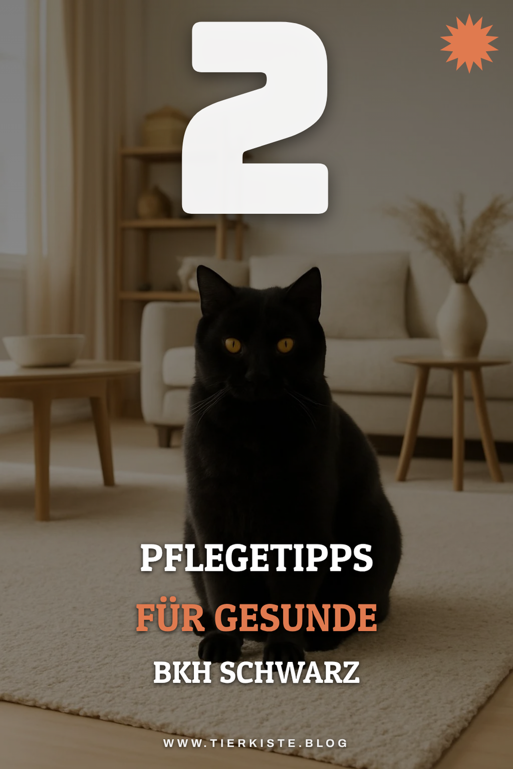 Die richtige Pflege für deine BKH Schwarz