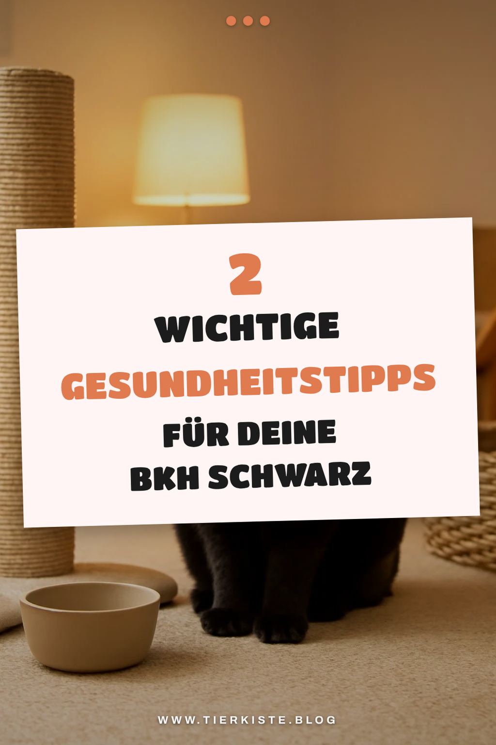 Gesundheitscheck und Impfungen
