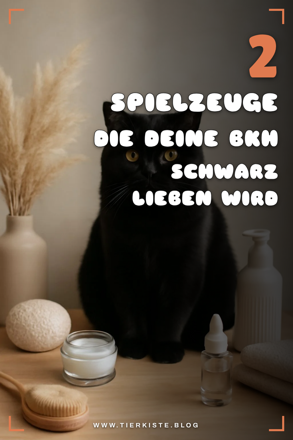 Die besten Spielzeuge für BKH Schwarz