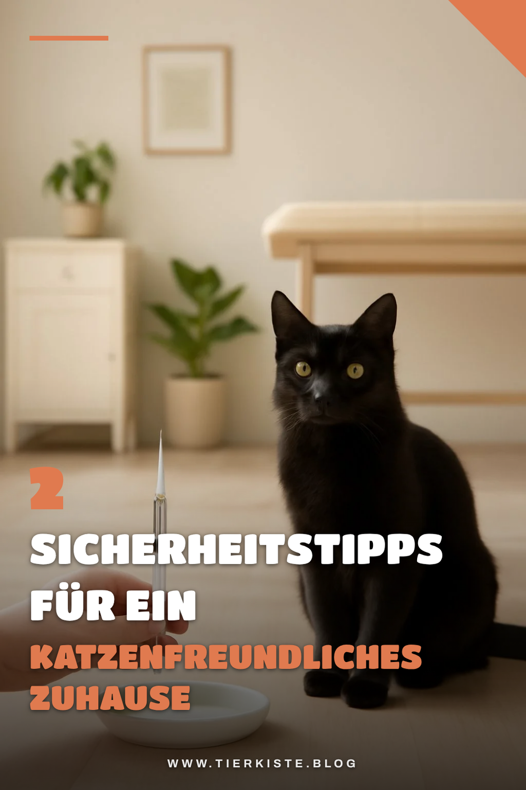 Katzensicherheit im Zuhause