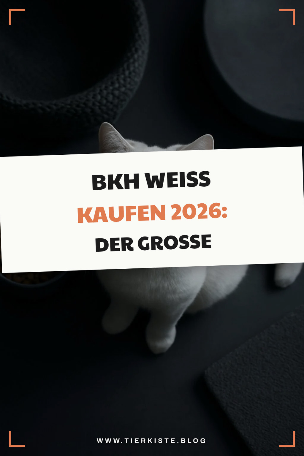 Bkh Weiß kaufen 2026: Der große Ratgeber