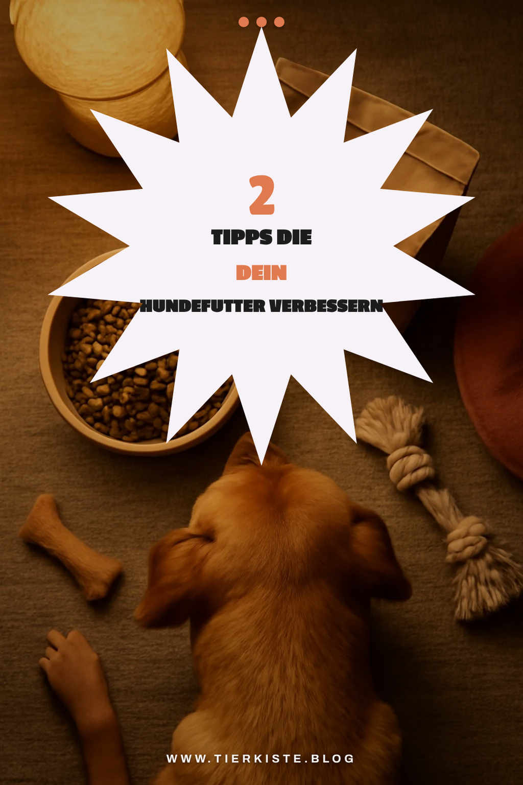 So findest du das richtige Hundefutter für deinen Hund