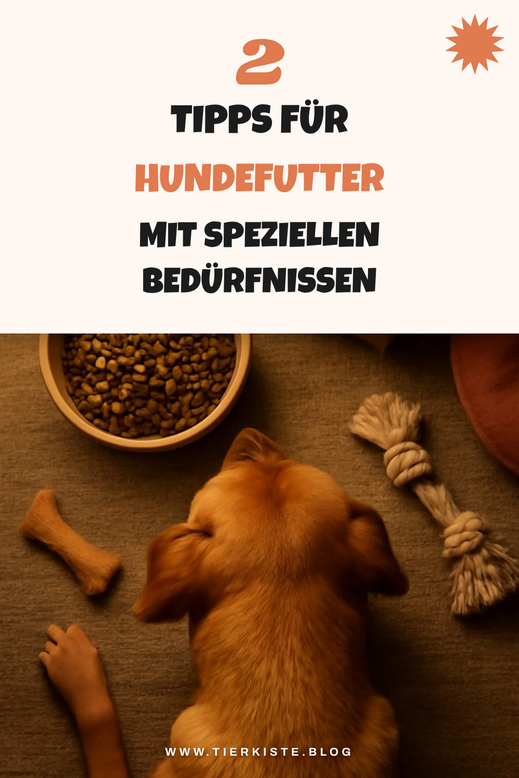Hundefutter für spezielle Bedürfnisse