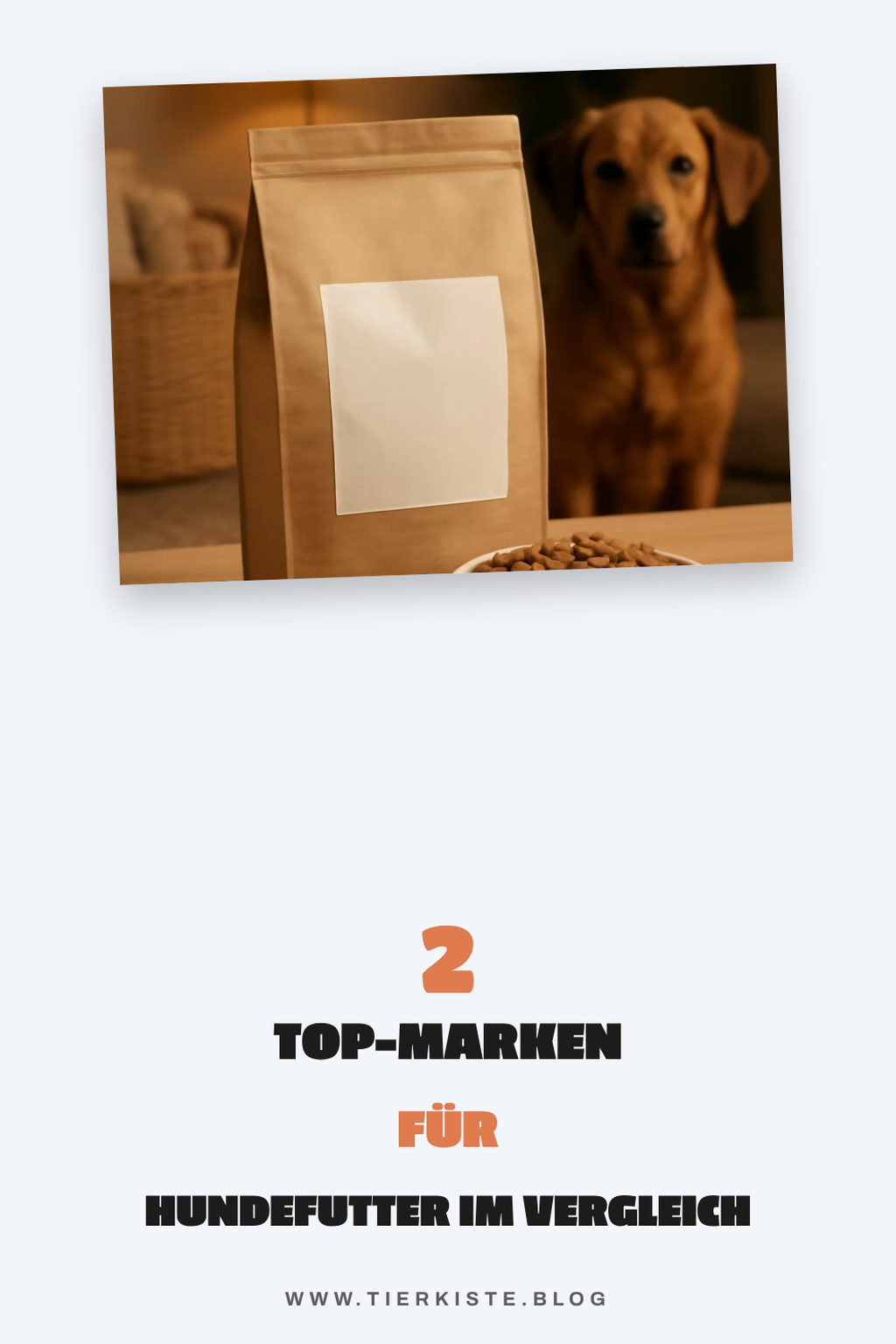 Die besten Futtermarken im Vergleich
