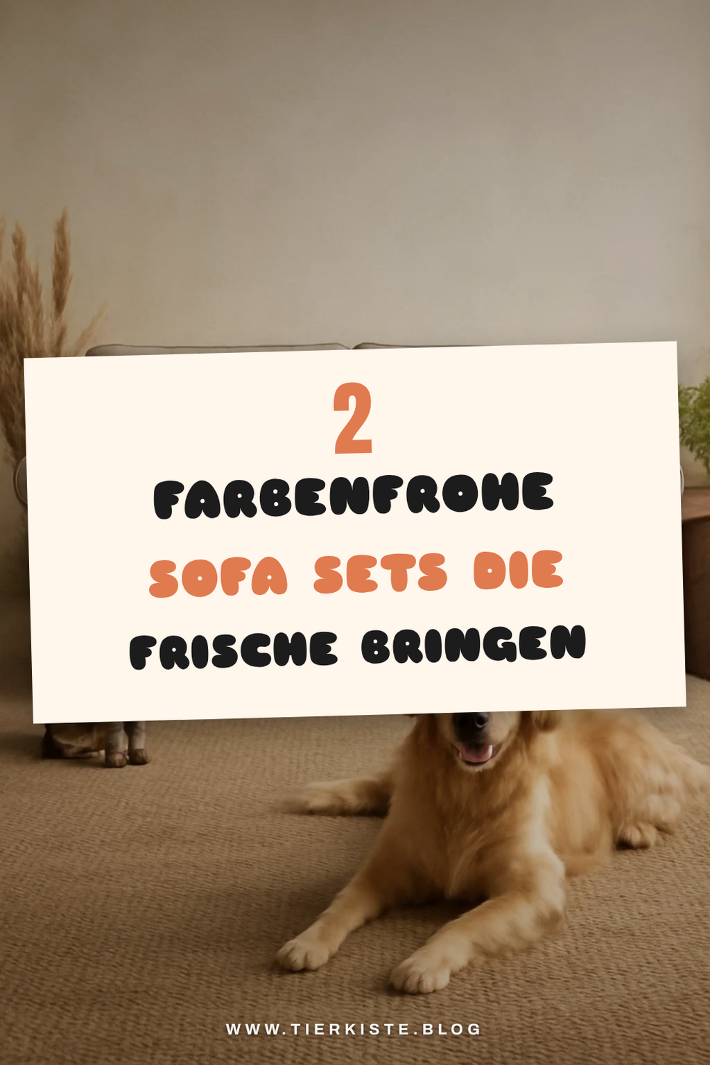 Farbenfrohe Sofa Sets für mehr Leben im Raum