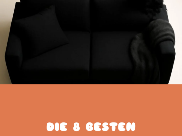 Die 8 besten Sofa Schwarz im Test 2026