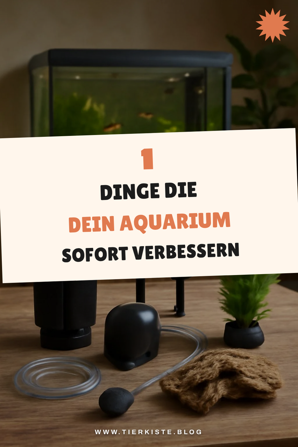 Bonus-Ideen für mehr Auswahl