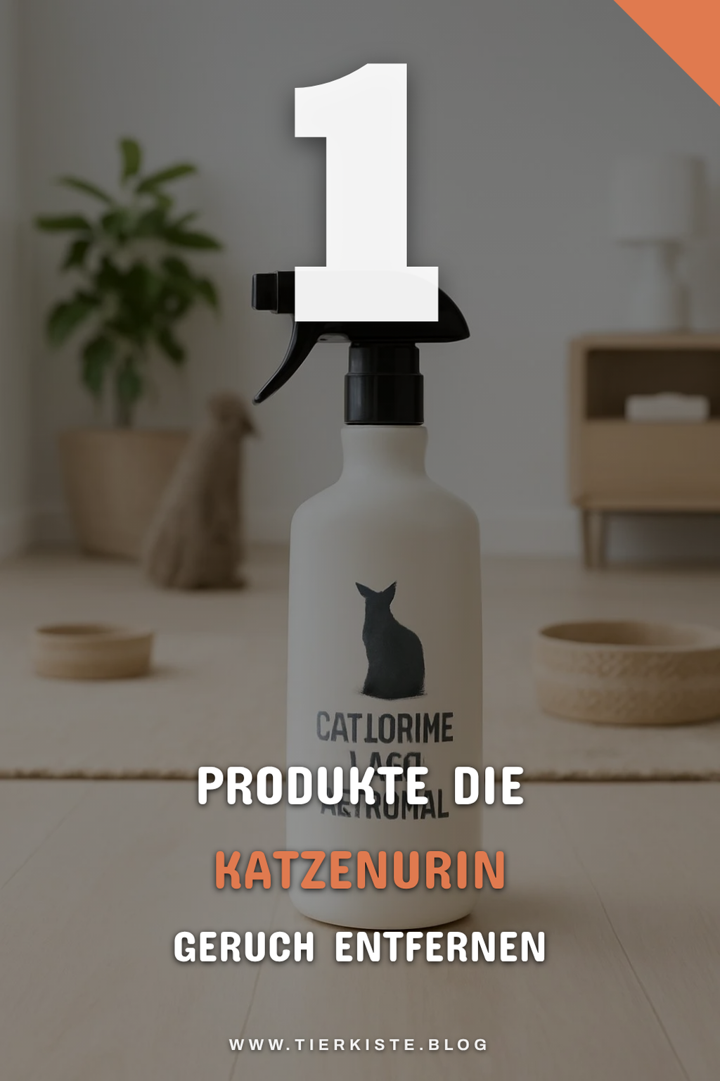 Mehr Empfehlungen aus dieser Kategorie