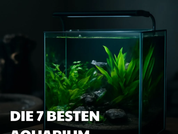 Die 7 besten Aquarium-Komplettsets 2026 im Test