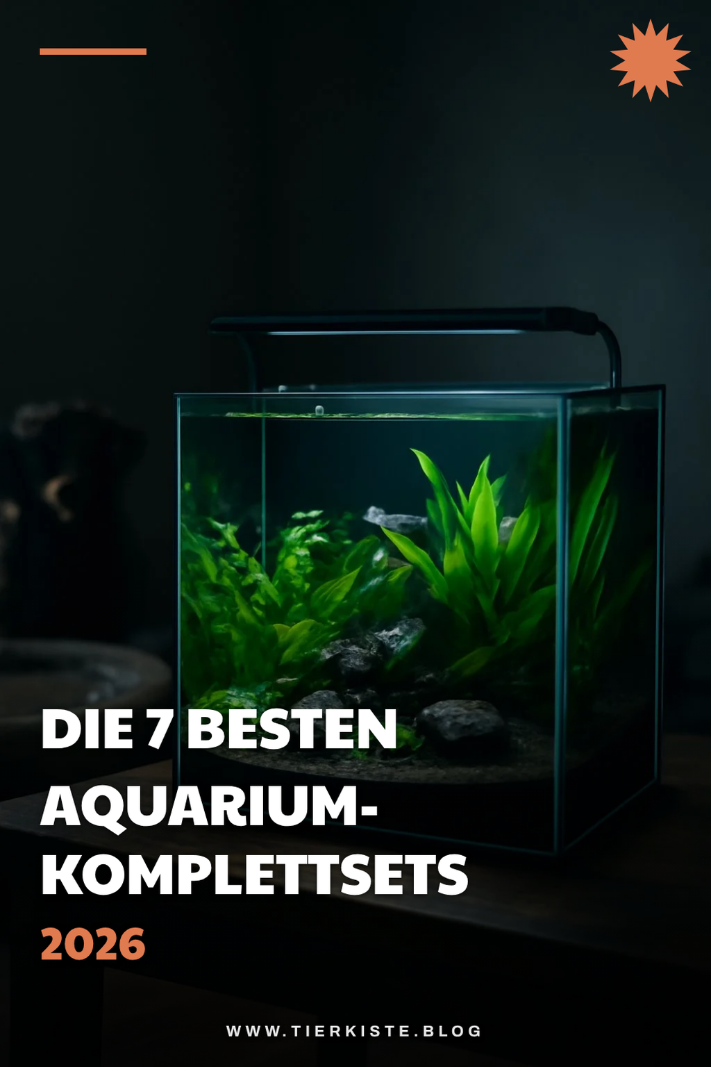Die 7 besten Aquarium-Komplettsets 2026 im Test