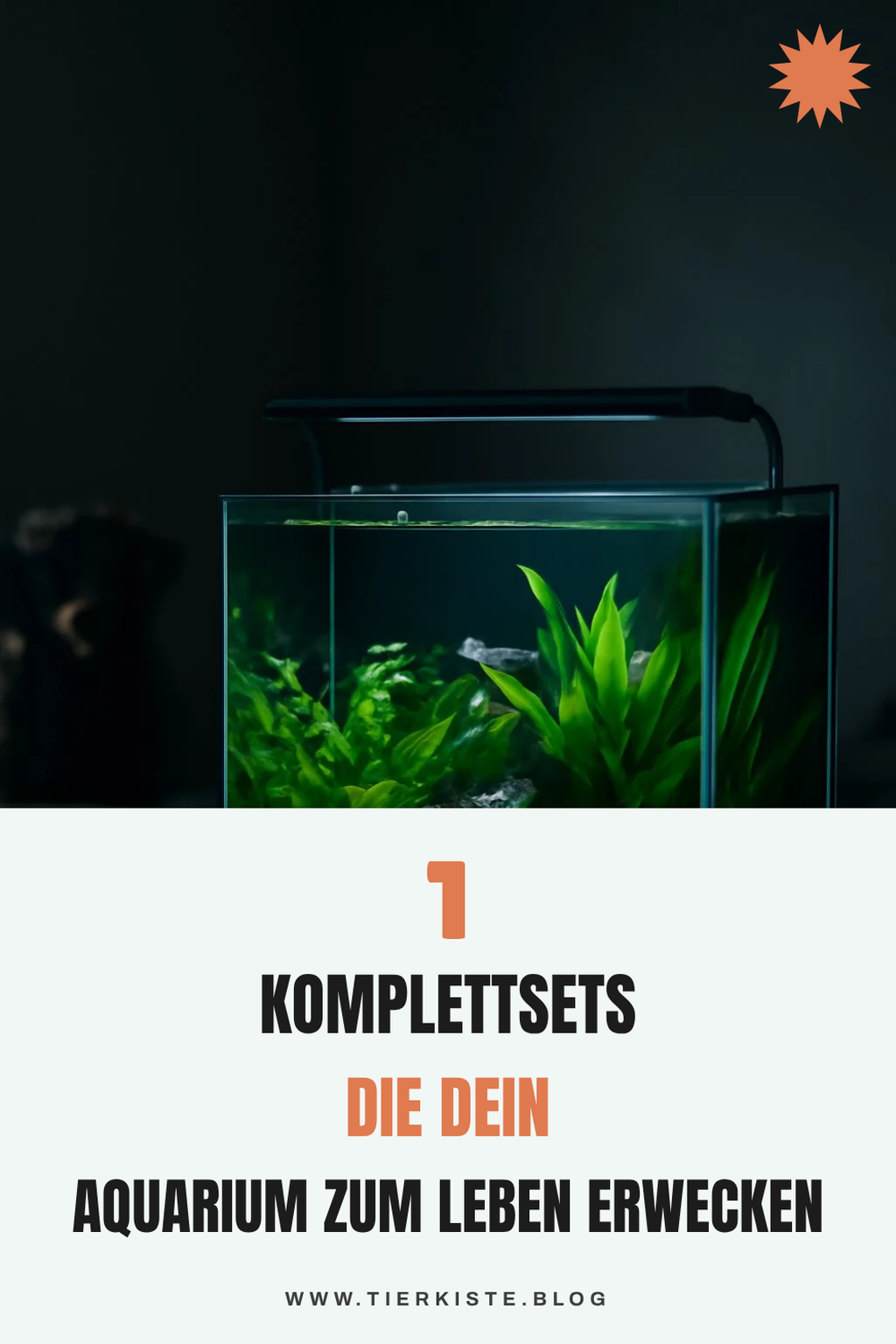 Mehr Empfehlungen aus dieser Kategorie