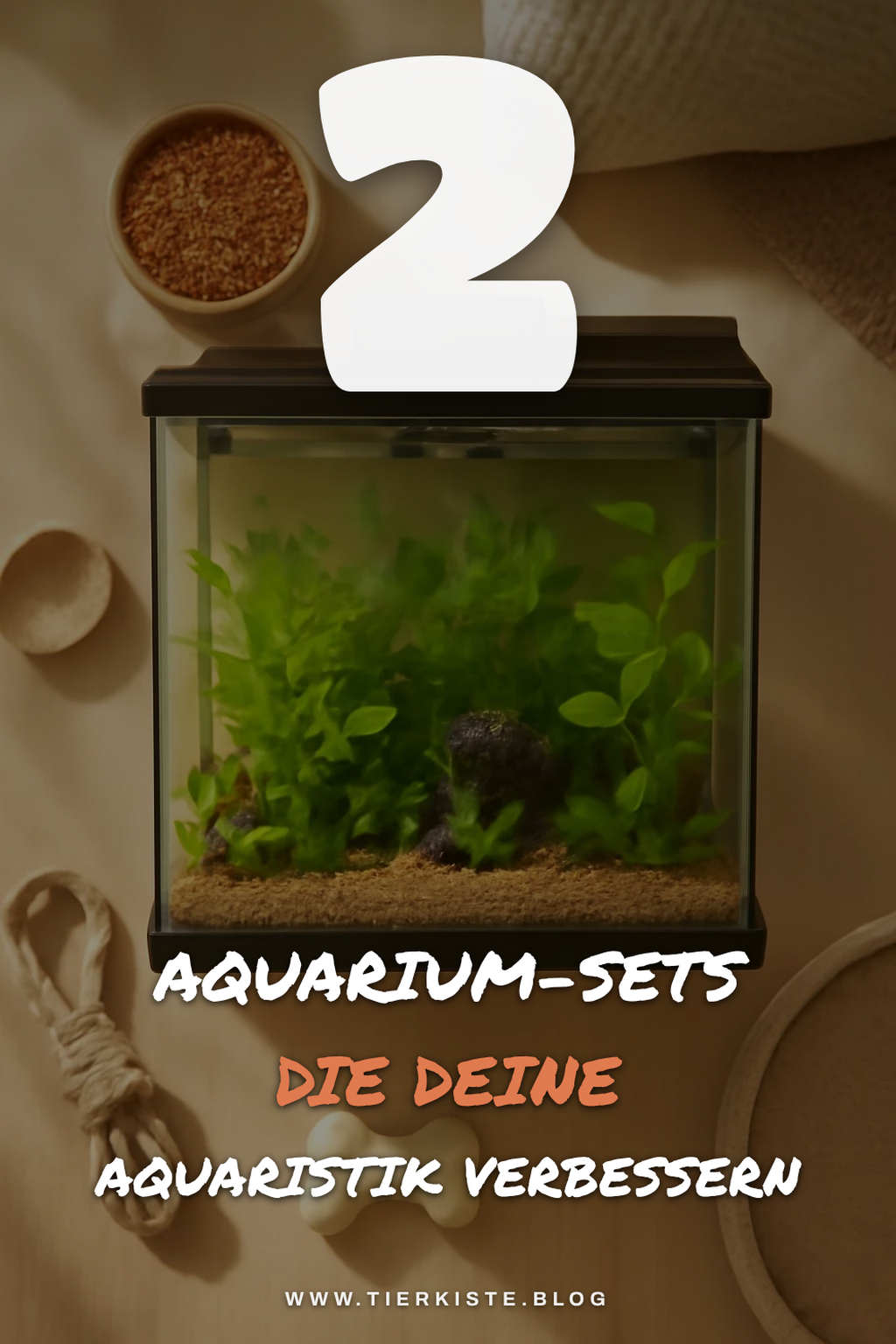 Trendige Aquarium-Komplettsets für Fortgeschrittene