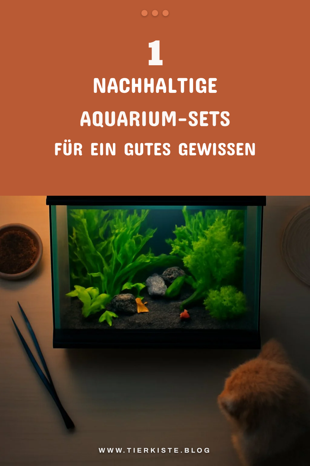 Nachhaltige Aquarium-Komplettsets für Umweltbewusste