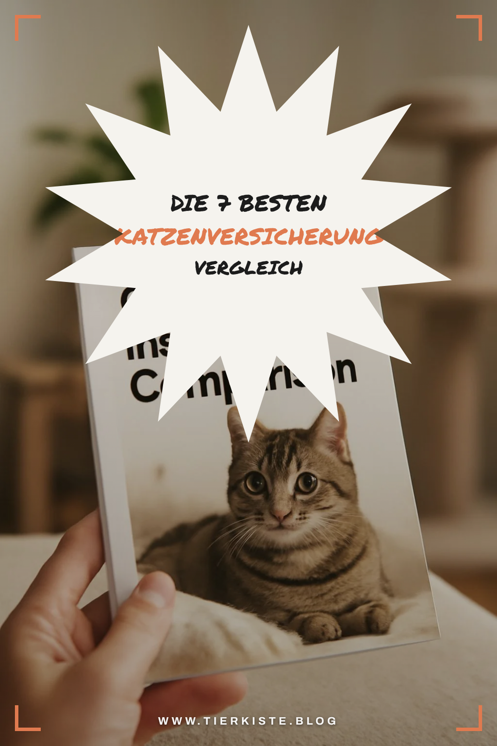 Die 7 besten Katzenversicherung Vergleich im Test 2026