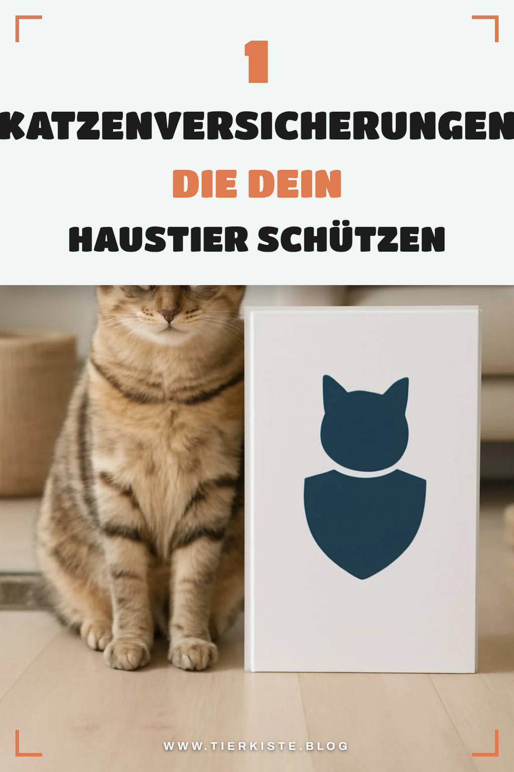 Entdecke die besten Katzenversicherungen im Vergleich