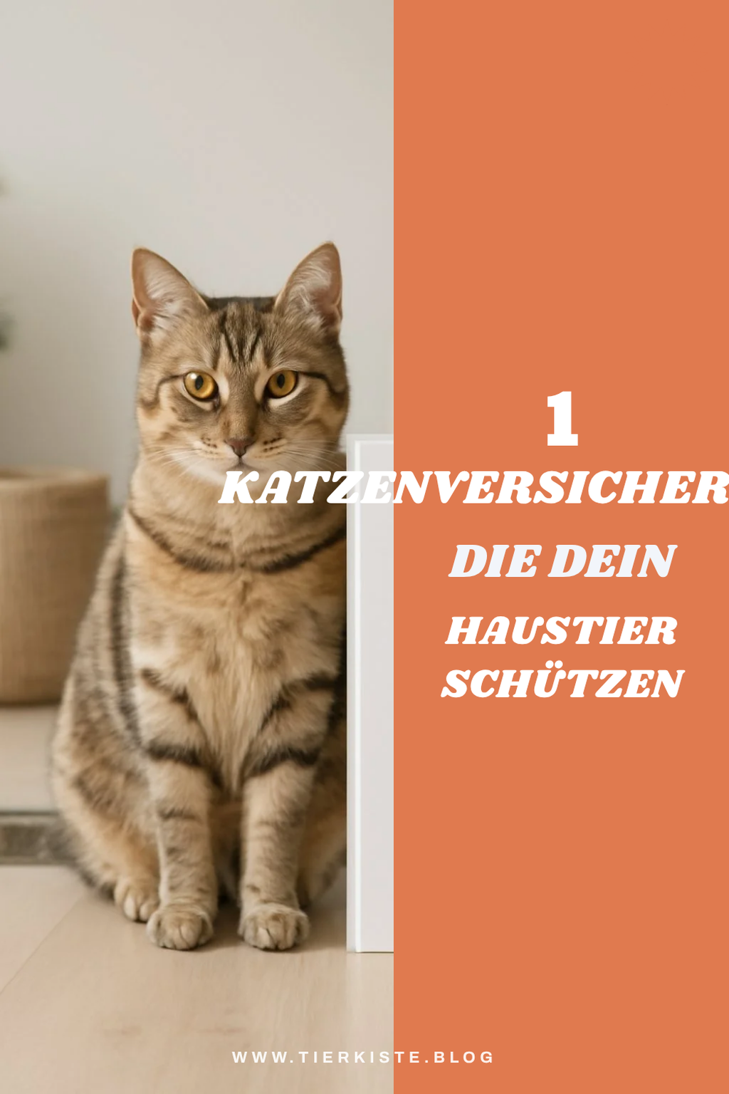 Bonus-Ideen für mehr Auswahl