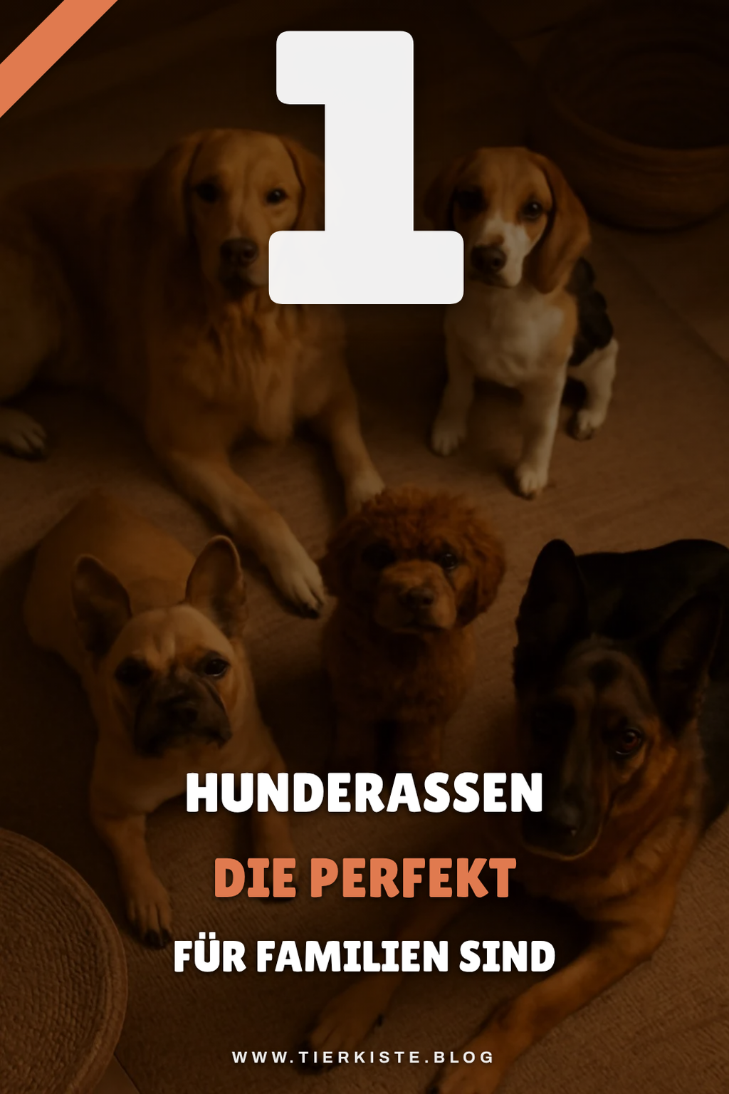 Entdecke die 5 besten Hunderassen für Familien