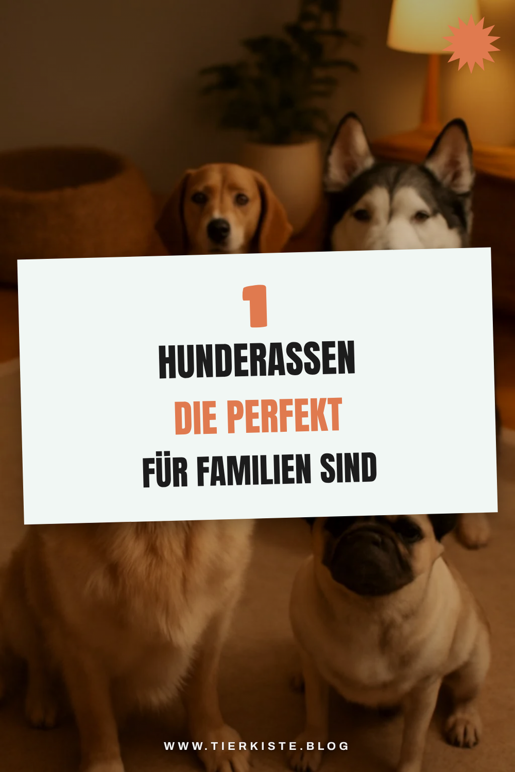 Mehr Empfehlungen aus dieser Kategorie