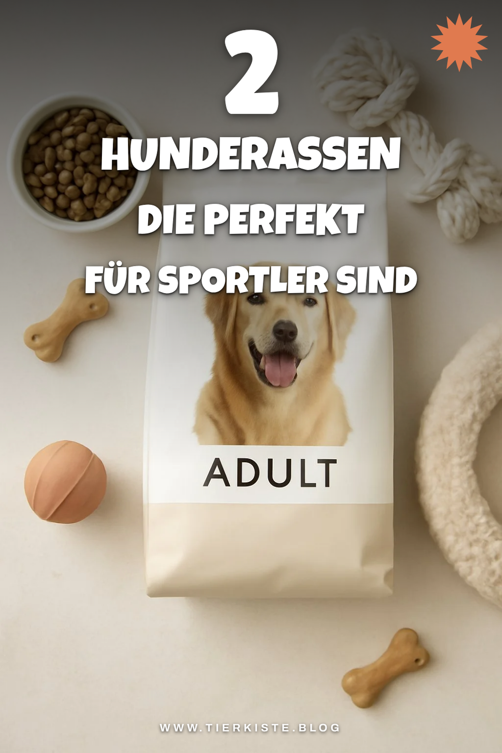 Diese 2 Hunderassen sind perfekt für Sportler