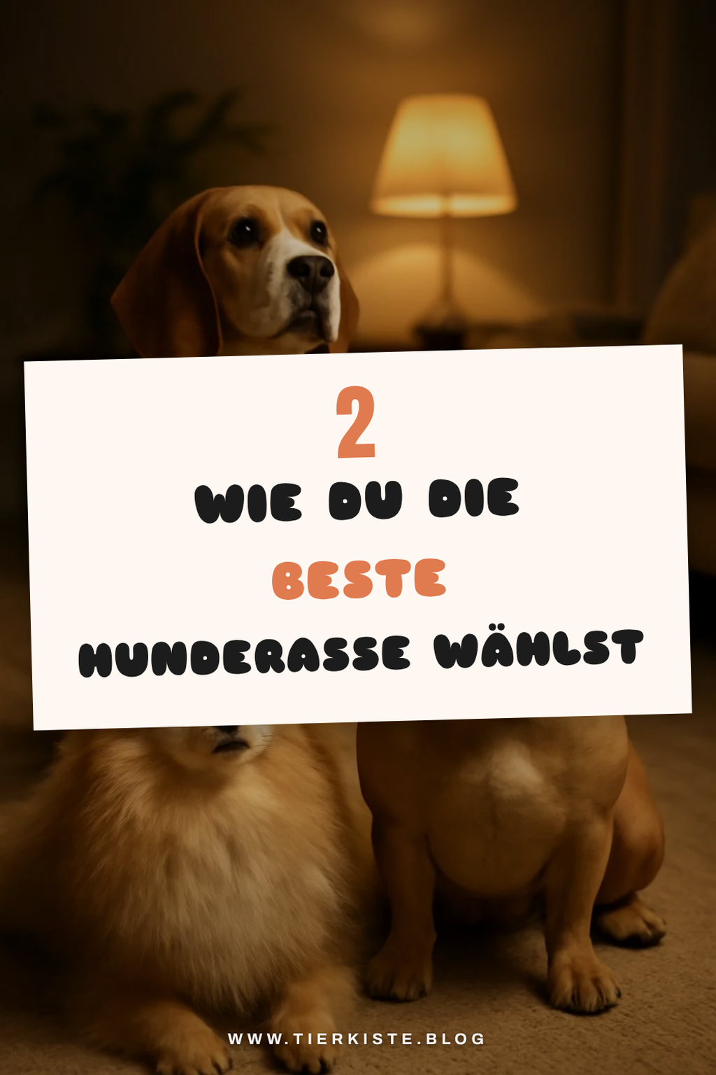 So wählst du die beste Hunderasse für deinen Lebensstil
