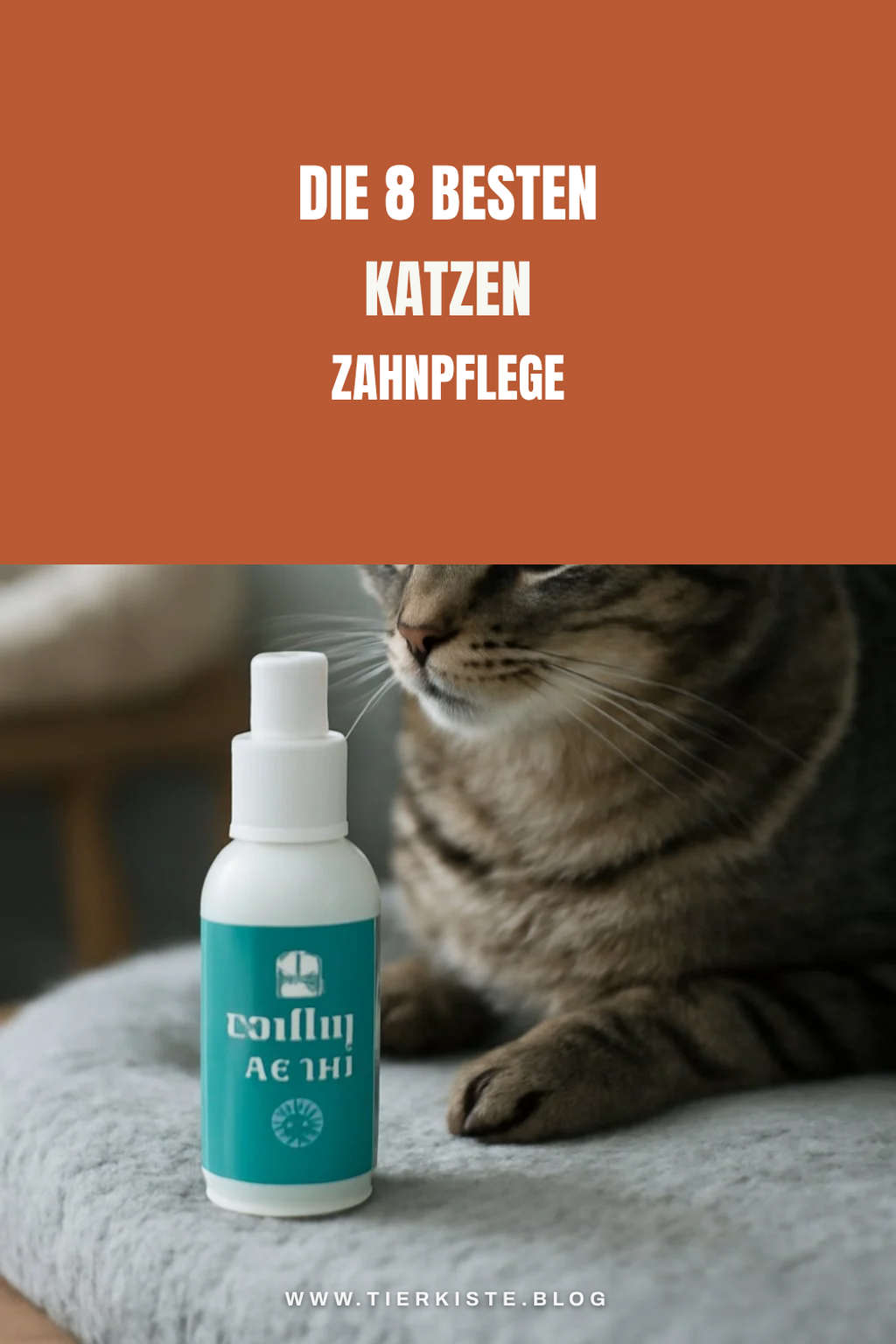 Die 8 besten Katzen Zahnpflege im Test 2026