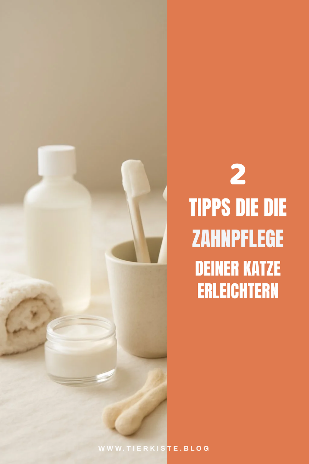 Praktische Tipps zur Zahnpflege deiner Katze