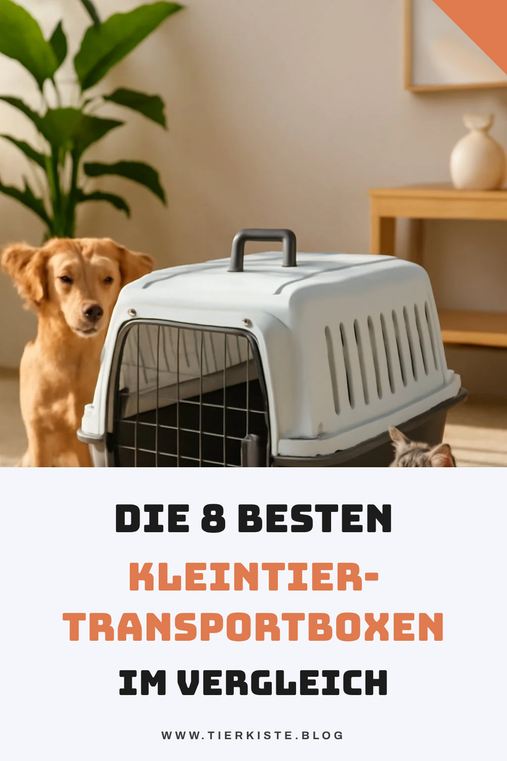 Die 8 besten Kleintier-Transportboxen im Vergleich — Kleintiere Und Nager Kleintier-Transportboxen
