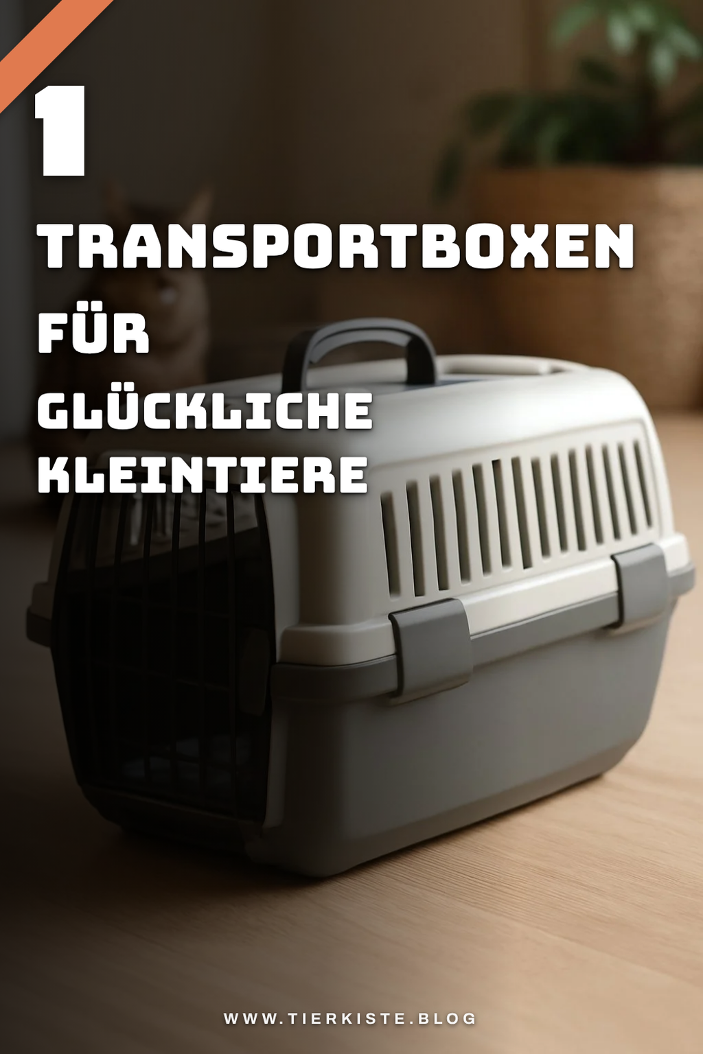 Die besten Transportboxen für Kleintiere im Test