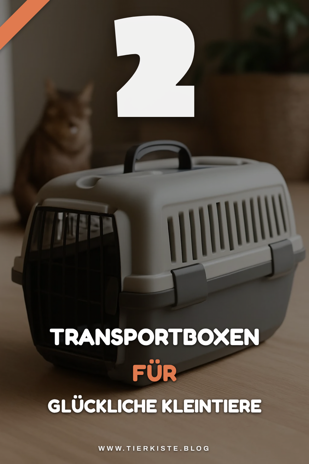 Mehr Empfehlungen aus dieser Kategorie