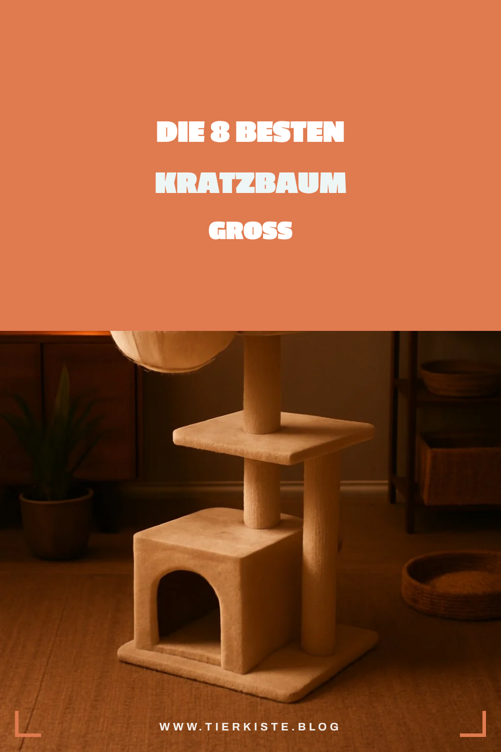 Die 8 besten Kratzbaum Groß im Test 2026