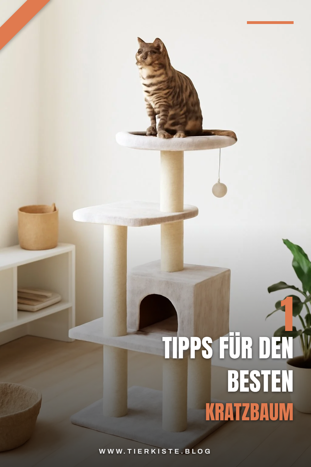 So findest du den perfekten Kratzbaum für deine Katze