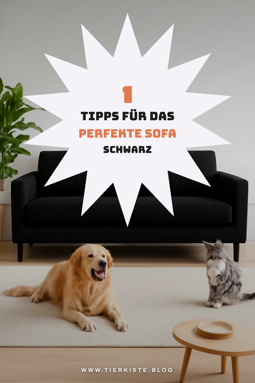 So findest du das perfekte Sofa Schwarz für deinen Raum